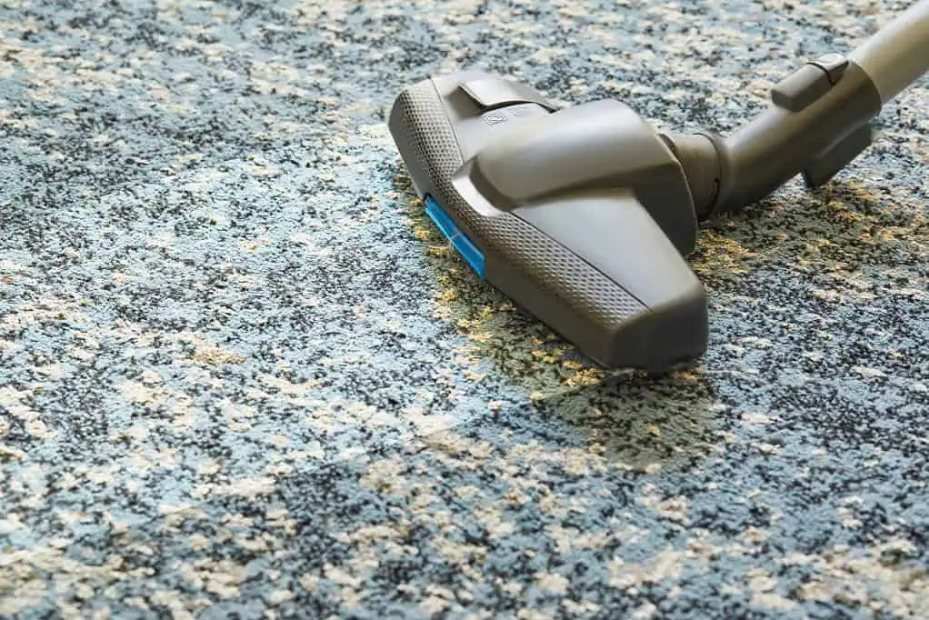 How To Remove Mould From Carpet: Guide For Nz Homeowners 1 Remove Mould From Carpet